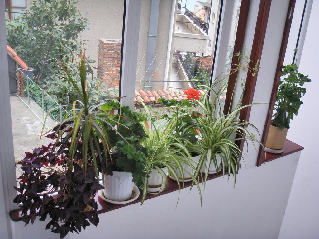 House Prodanovi Sozopol Bagian luar foto
